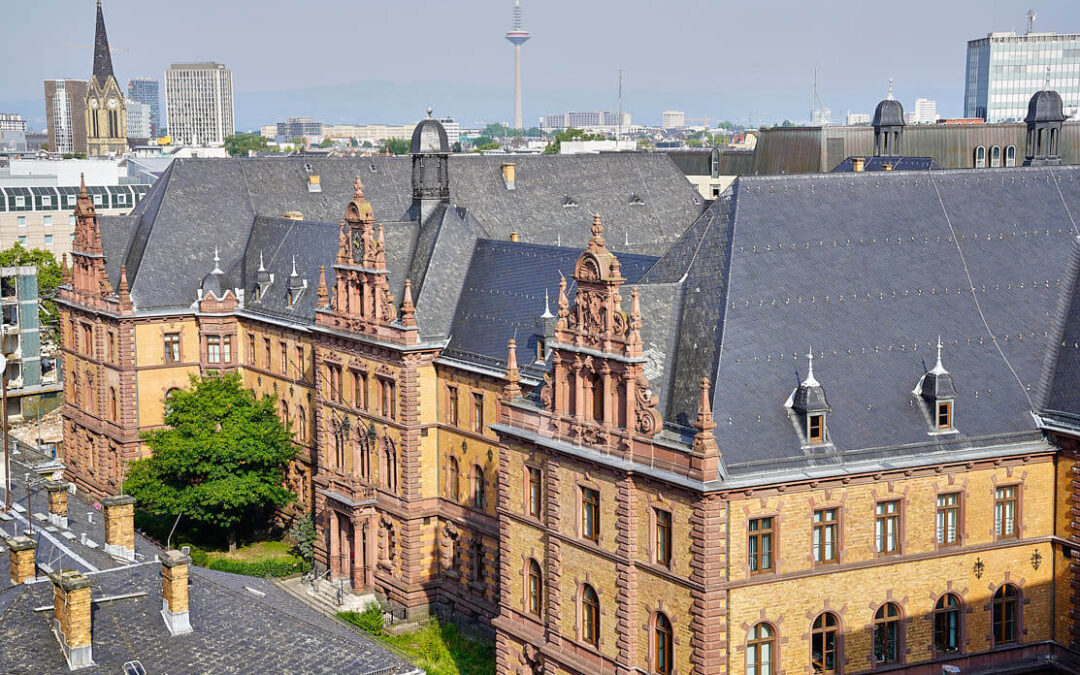 BGH: zur Reichweite eines Gewährleistungsausschlusses beim Kauf eines Oldtimers